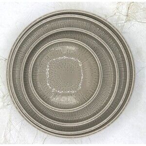 Schönwald Germany 620‎ Porcelain Plate Set of 4 Radial Pattern Gray Frost Shiro